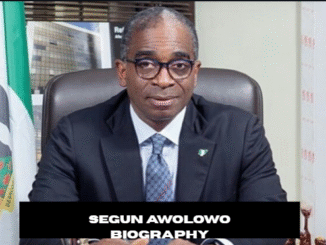segun awolowo biography