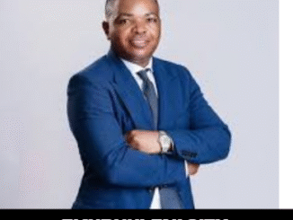 ekurhuleni city manager biography
