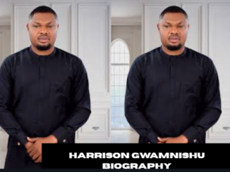 harrison gwamnishu biography